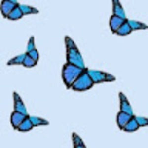 Meet your Posher, Stef